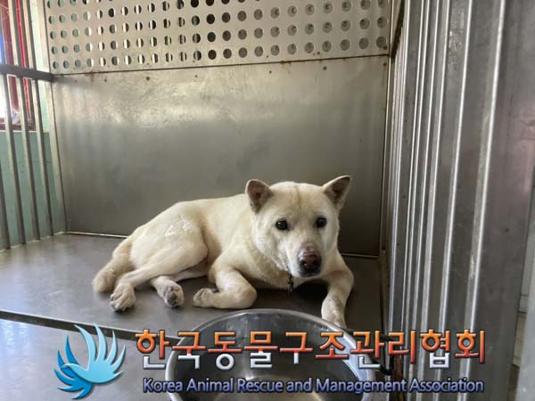 한국동물구조관리협회_441409202401315